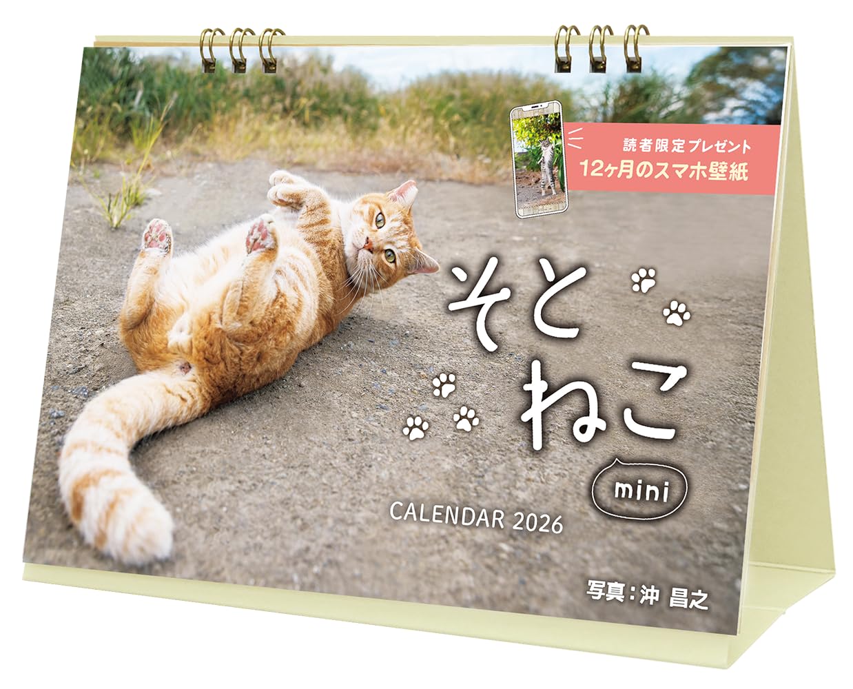 通常版】カレンダー2026 そとねこ mini(月めくり/卓上/128mm×182mm)(各
